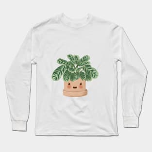 Cute Plant Illustration,  Calathea Burle-Marxii Amabilis 2 Long Sleeve T-Shirt